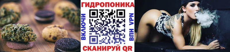 Купить закладки  Наро-Фоминск  Печенье с ТГК конопля 