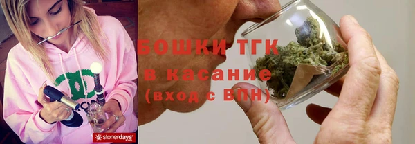 гидра Карпинск