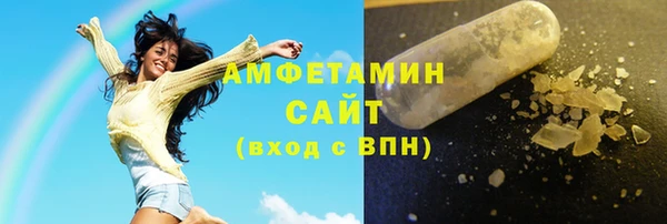гидра Карпинск