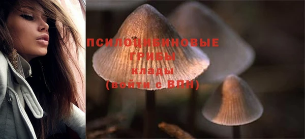 первитин Каменка