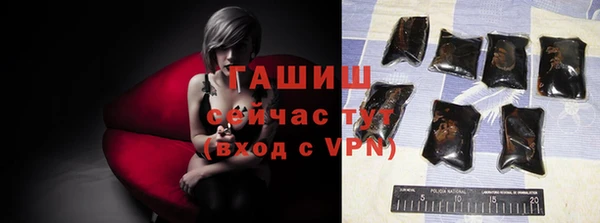 первитин Каменка