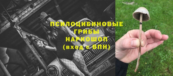 меф Каменногорск
