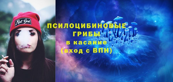 меф Каменногорск