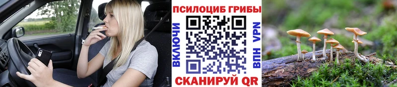Купить где  Наро-Фоминск  Галлюциногенные грибы Magic Shrooms 