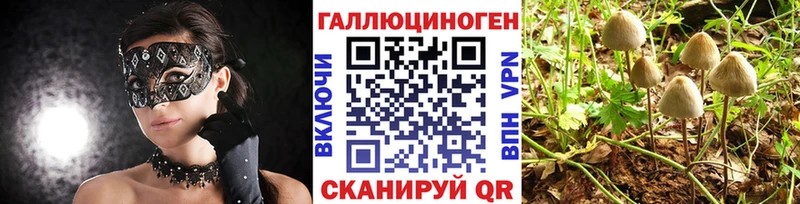 Галлюциногенные грибы мицелий Наро-Фоминск
